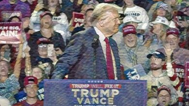 Hollywood attacks Trump voters