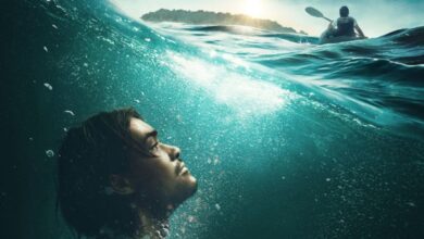 Last Days movie review poster image-2