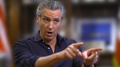 Gavin Newsom Daily Show