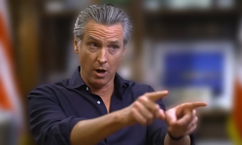 Gavin Newsom Daily Show