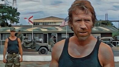 Chuck Norris-variety hit piece